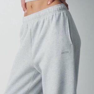 Aritzia Cozy Sweatfleece Mega Jogger